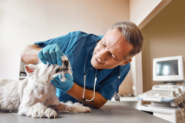Best Emergency Root Canal Treatment in Graymoor Devondale, KY
